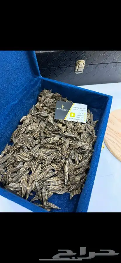 عود كمبودي تايقر ملكي 1