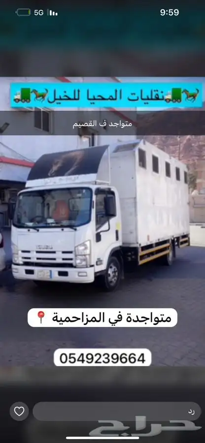 دينة خيل 7 روس متواجد باالقصيم جاهز لنقل 0