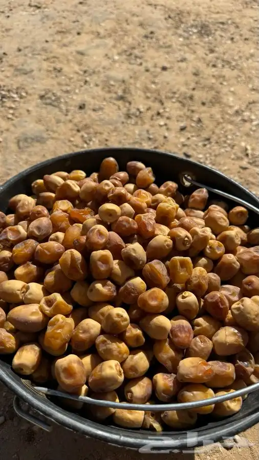 تمور بالكيلو كميات محدودة بيع جملة 1