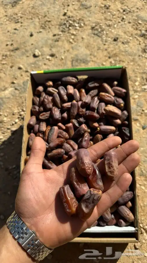 تمور بالكيلو كميات محدودة بيع جملة 2
