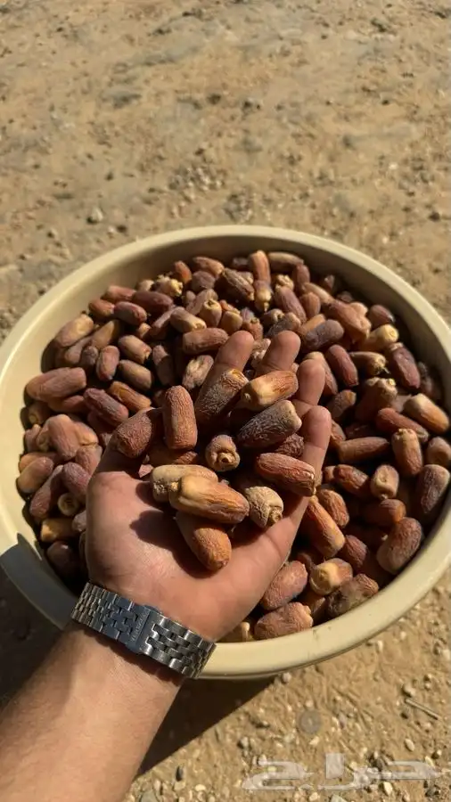 تمور بالكيلو كميات محدودة بيع جملة 6