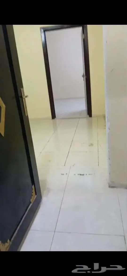 شقة عزاب للإيجار حي الرمال 2300ريال شهري 0
