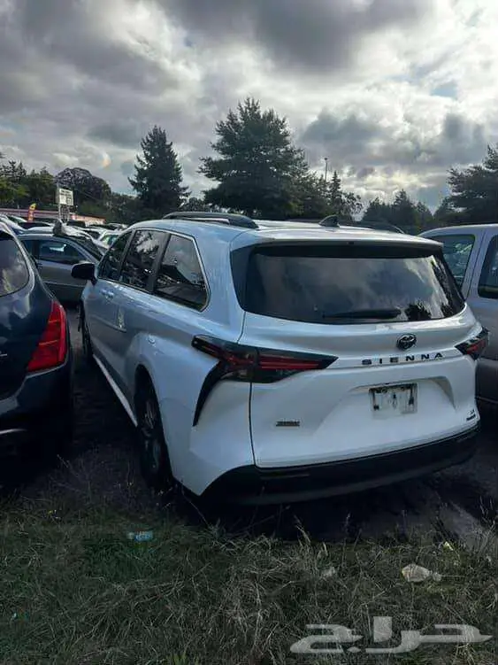 تويوتا سيينا Toyota Sienna 2022 5
