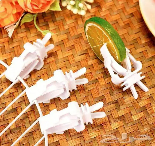 العاب ومستلزمات طيور وقطط متجر الكتروني ومتوفر تابي و تمارا 1