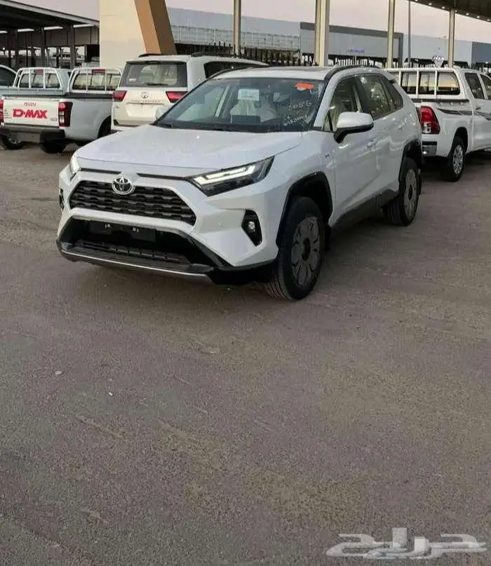 راف فور XLE ابيض 2025 0