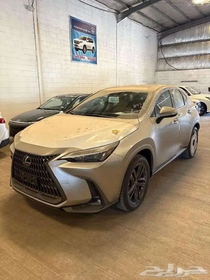 لكزس NX350 ستاندر هايبرد 2025 0