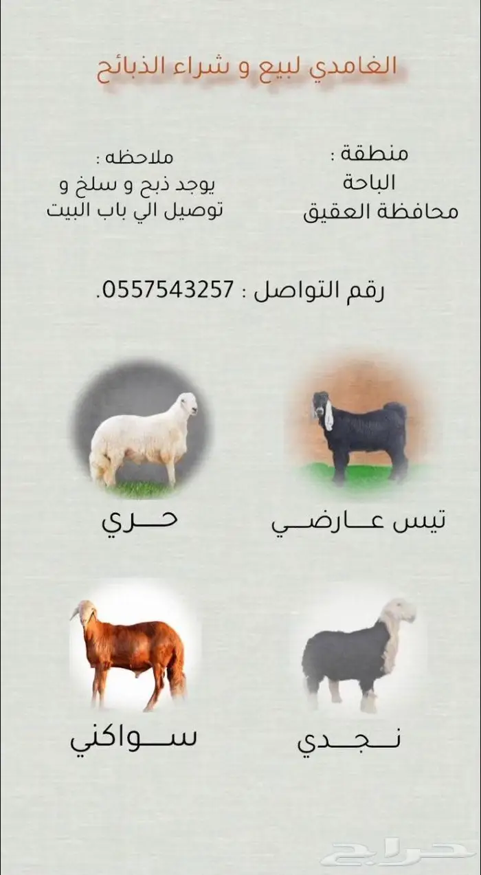 حسلان بلدي 0