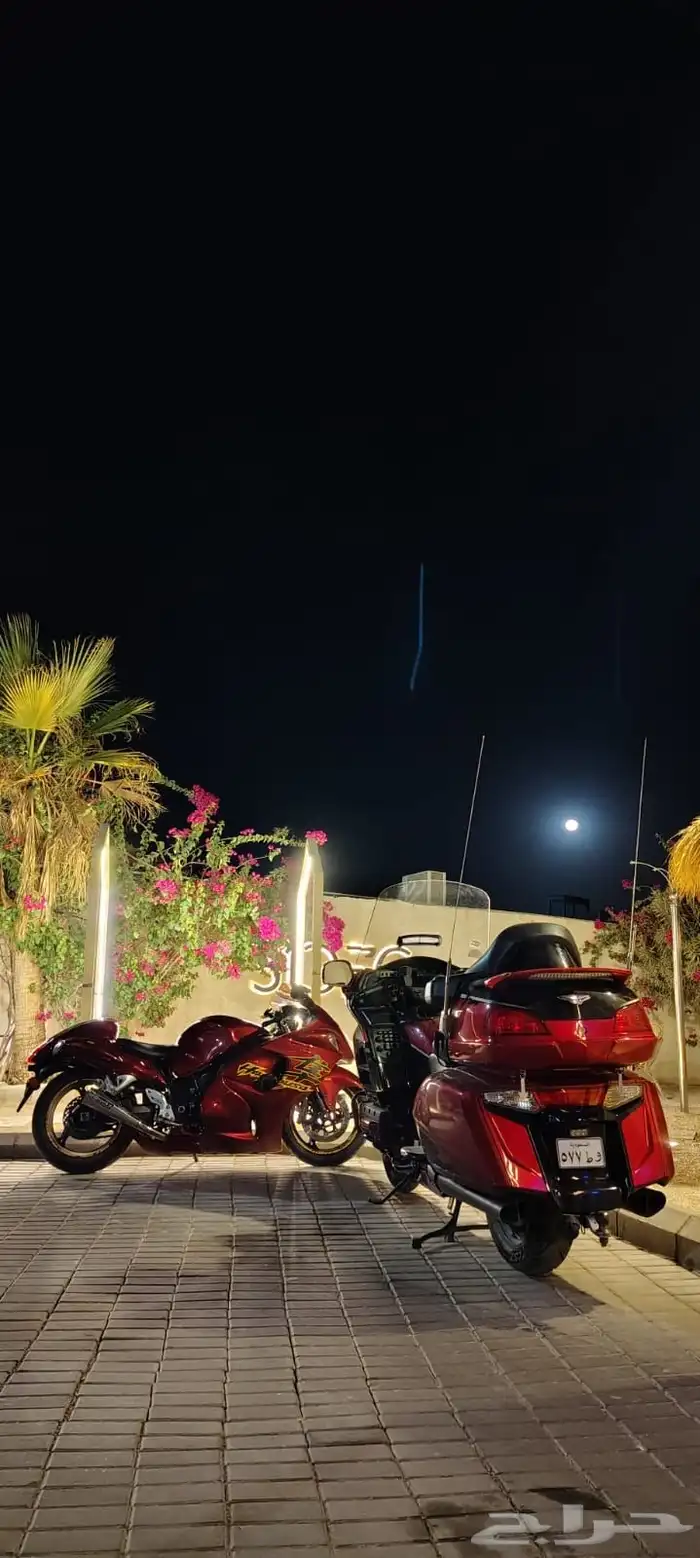 قولد وينق 7