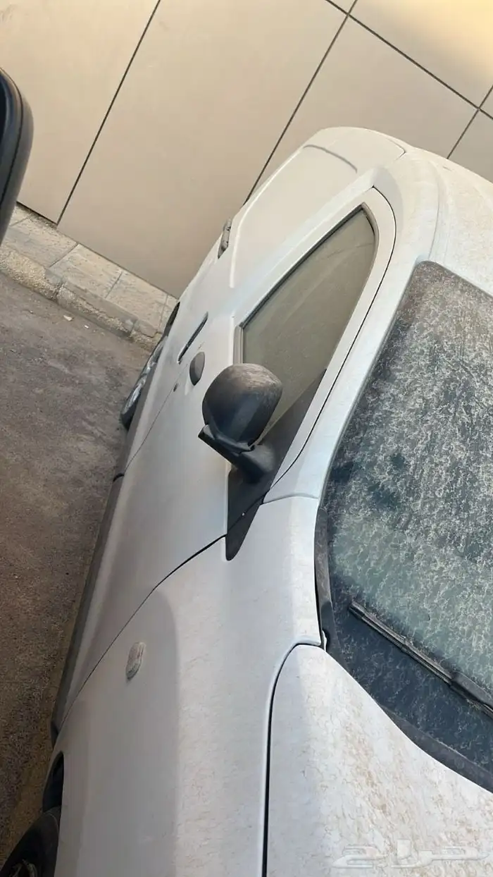 فان رينو 2019 1