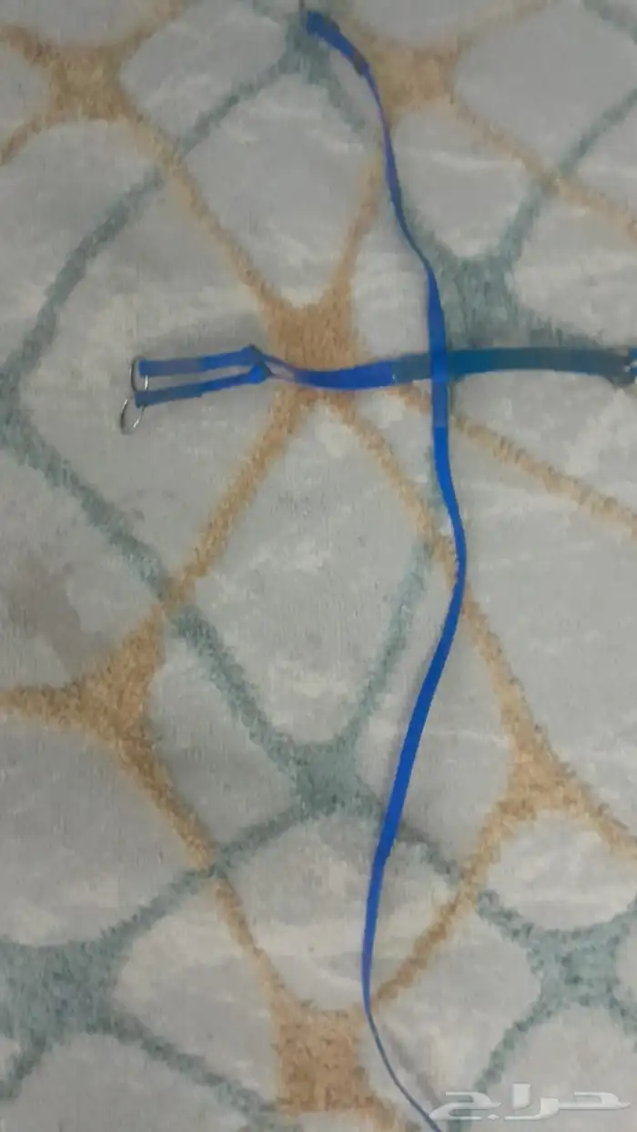 لجام للبيع مع اصدريه 3