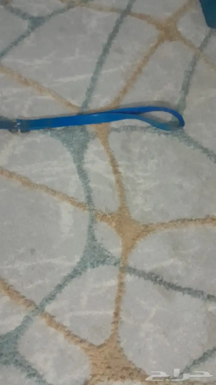 لجام للبيع مع اصدريه 4