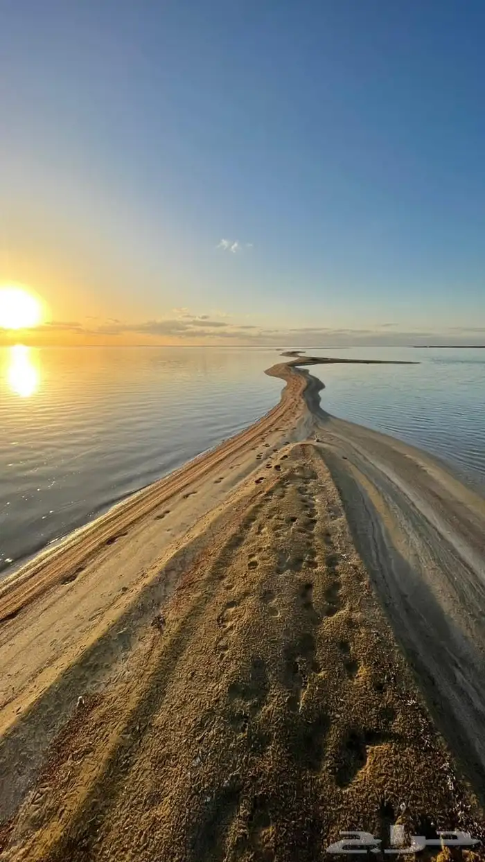 قارب الرايس للنزهه والسباحه والصيد .. 4