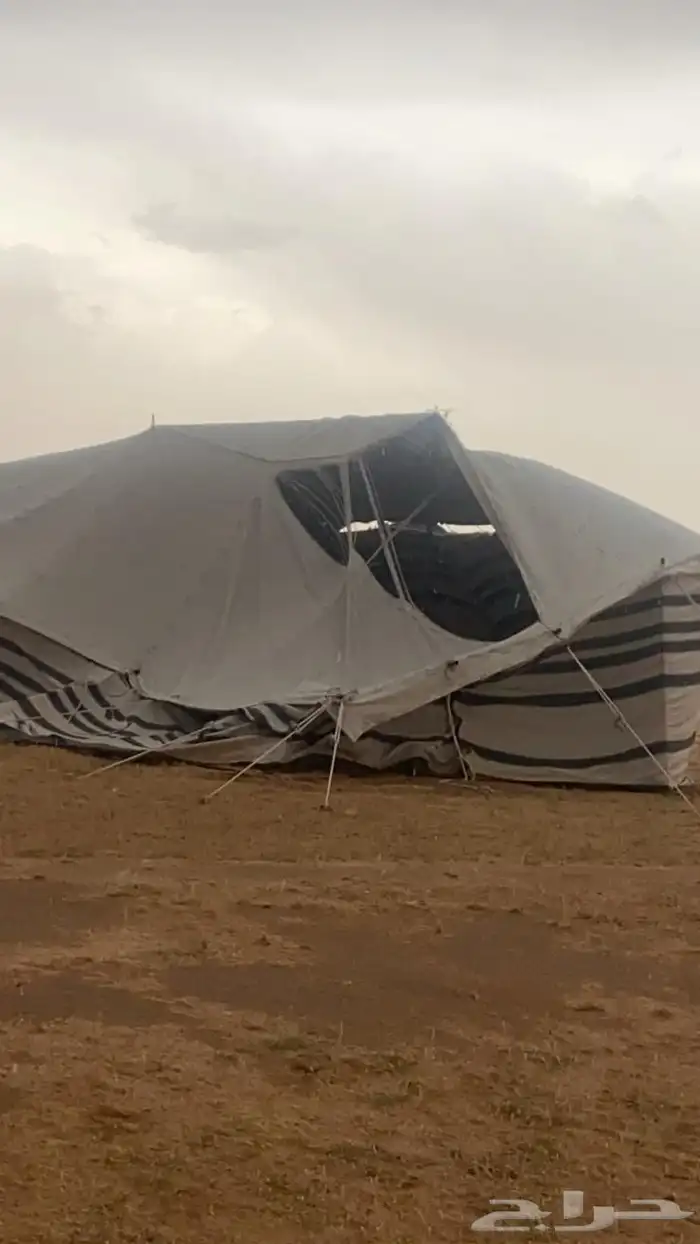 بيت شعر 0
