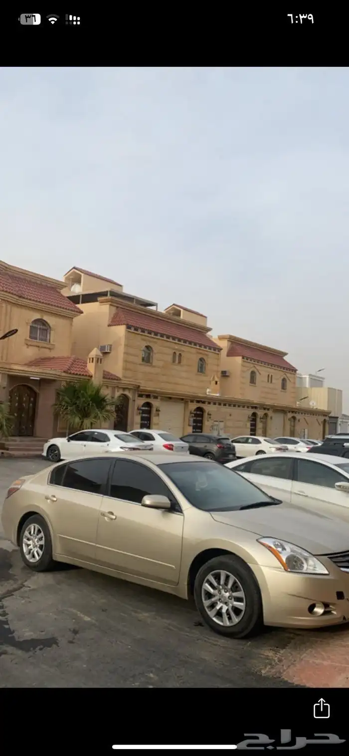 التيما 2010 3
