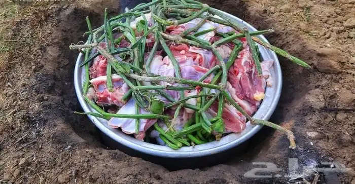 مرخ وسلع ولحم وانواع الحجر المظبي 1