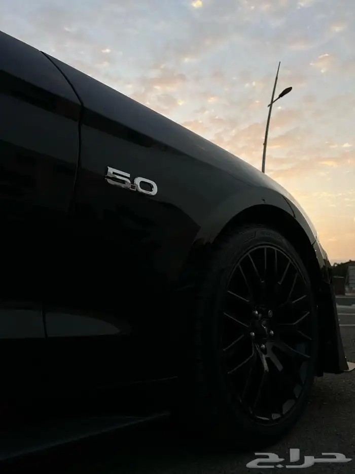 فورد موستانج بيرفورمنس 2019 15