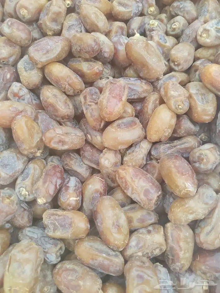 تمور خلاص 4000 كرتون 0