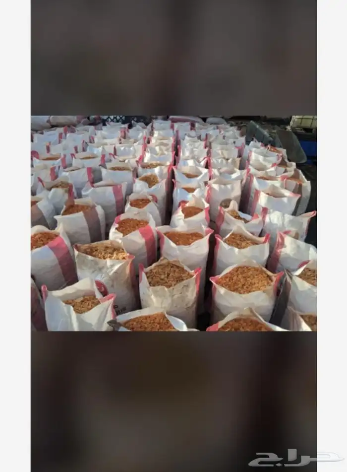 حلف حلال 7