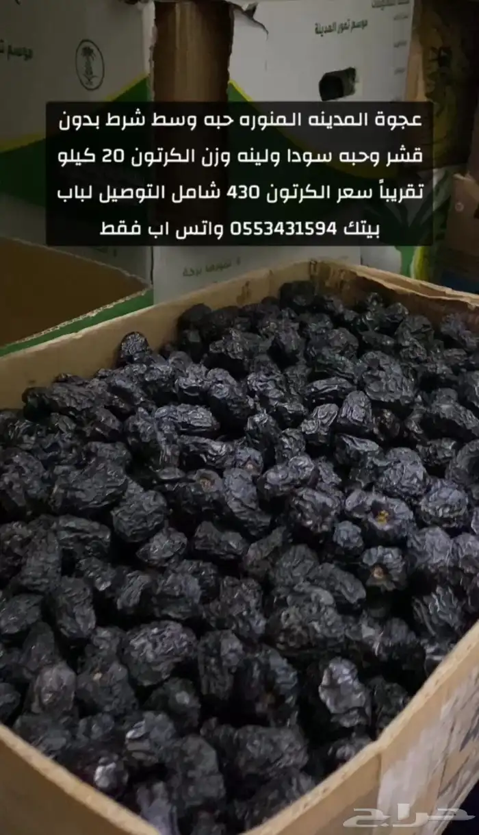 عجوة المدينه 0