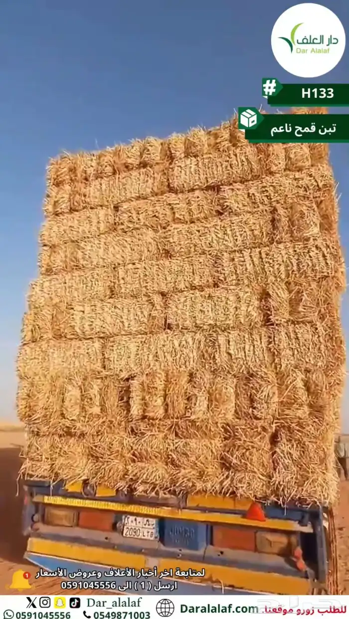 تبن قمح 2