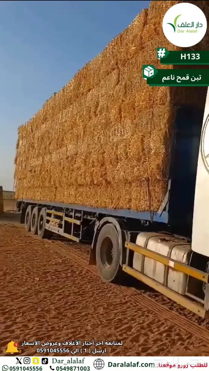 تبن قمح 1