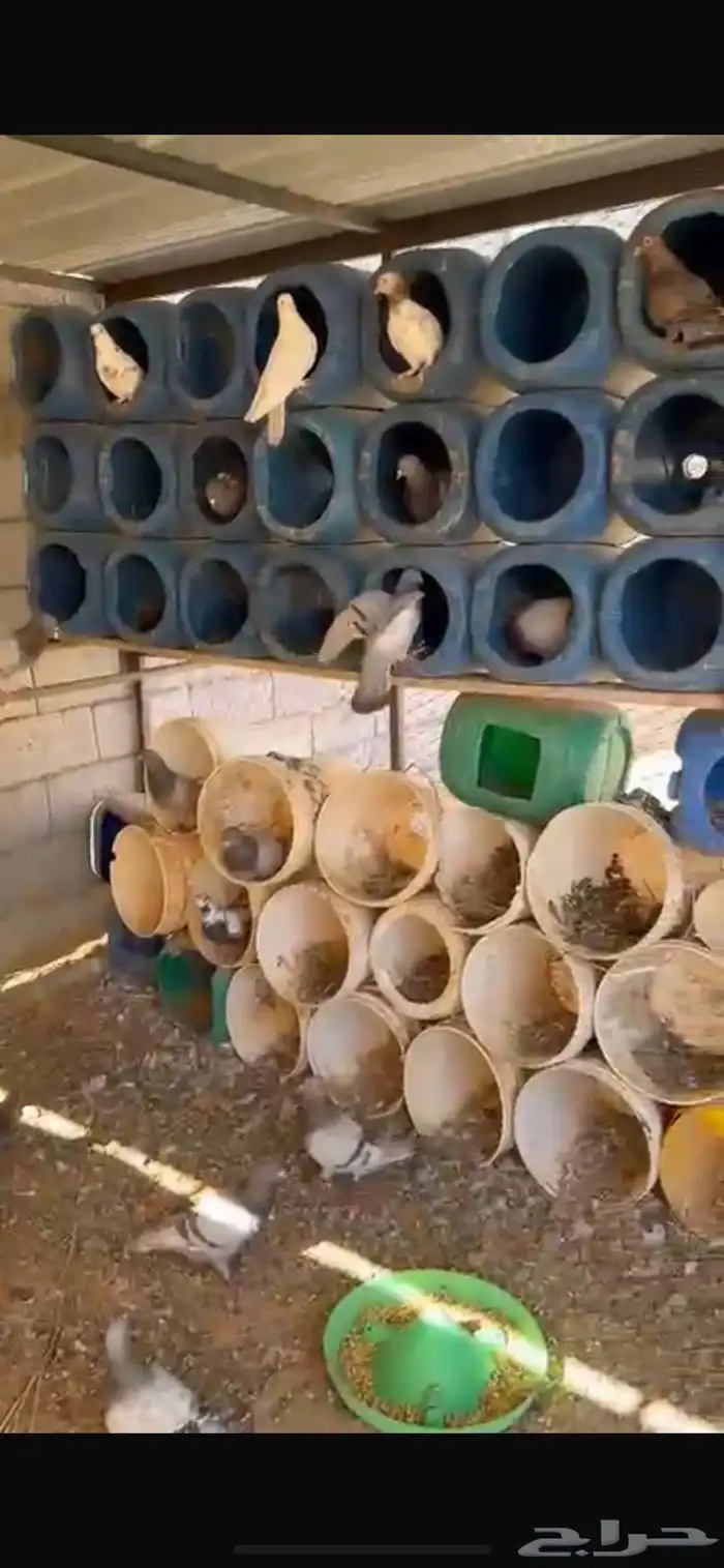 حمام سلفر 0