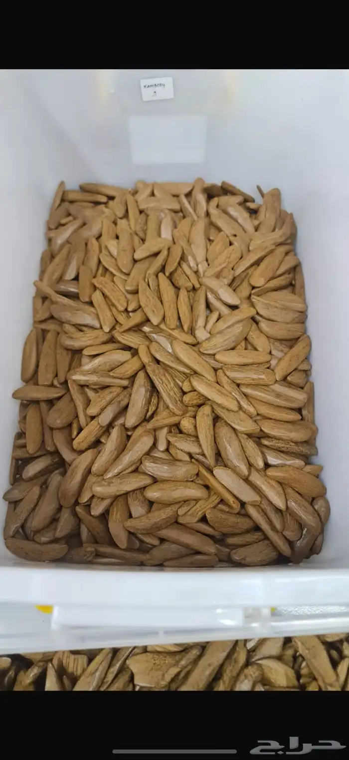 عود فاخر 1
