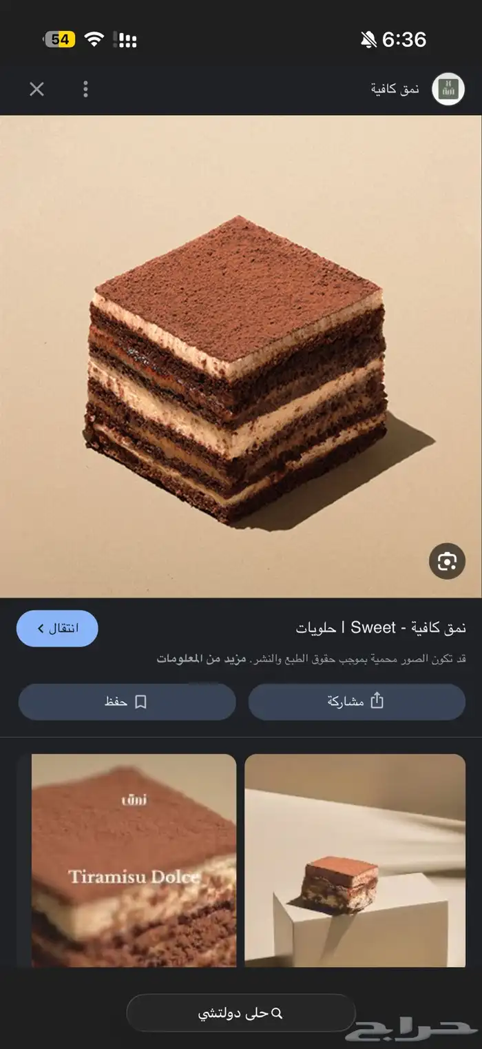مطلوب نقل خيل من المدينة للدمام 3