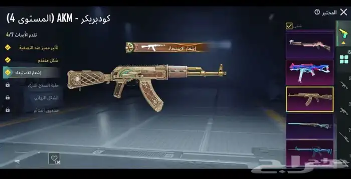 حساب ببجي 10