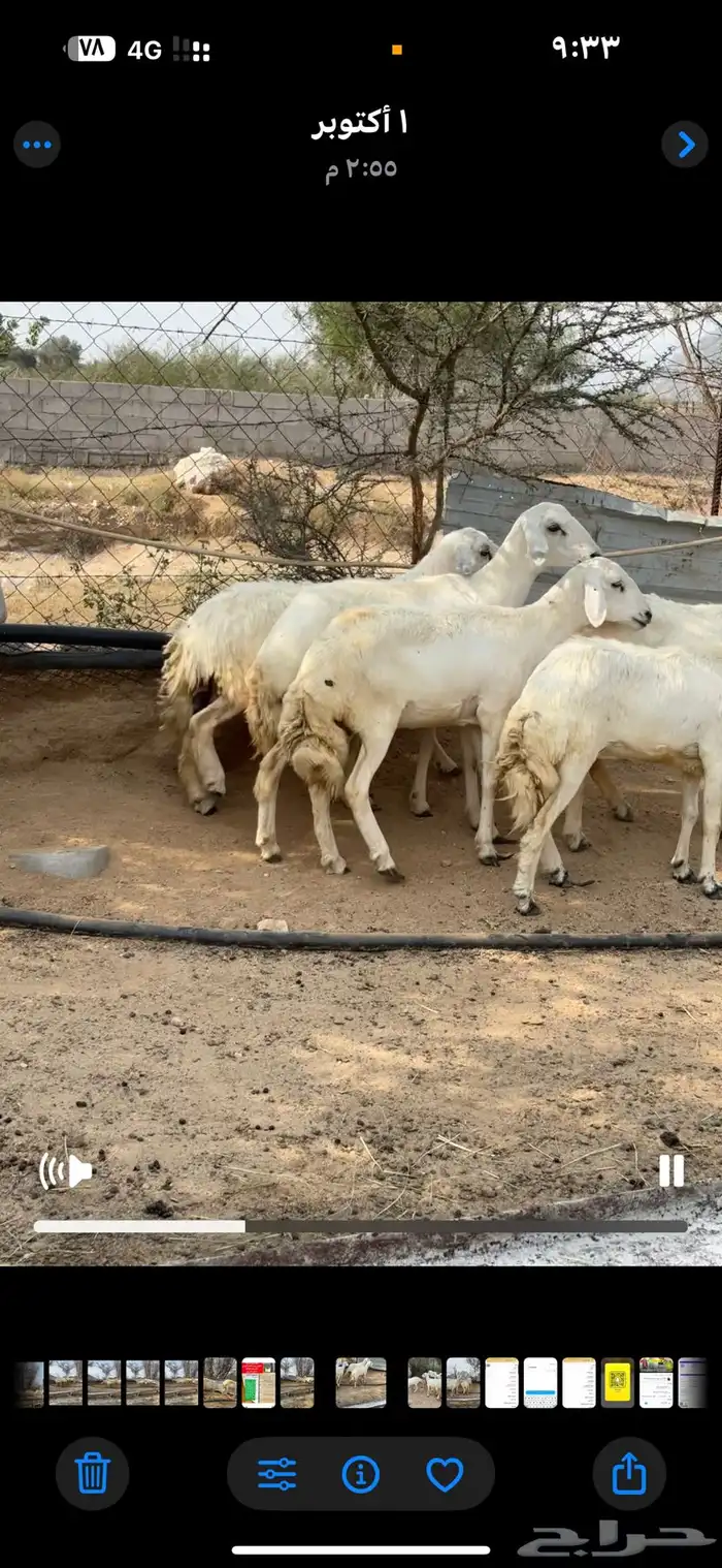 ثلوث المنظر 3