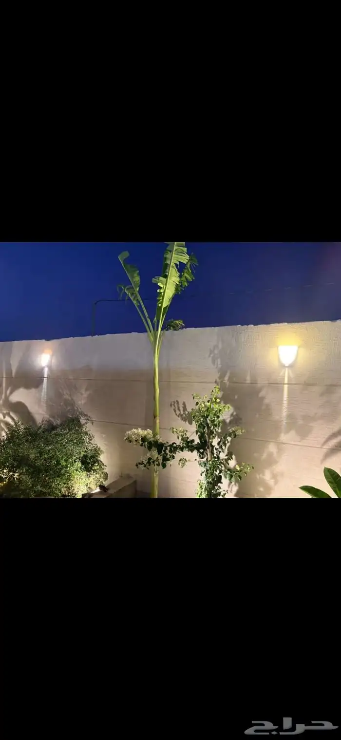 تنسيق حدايق 24