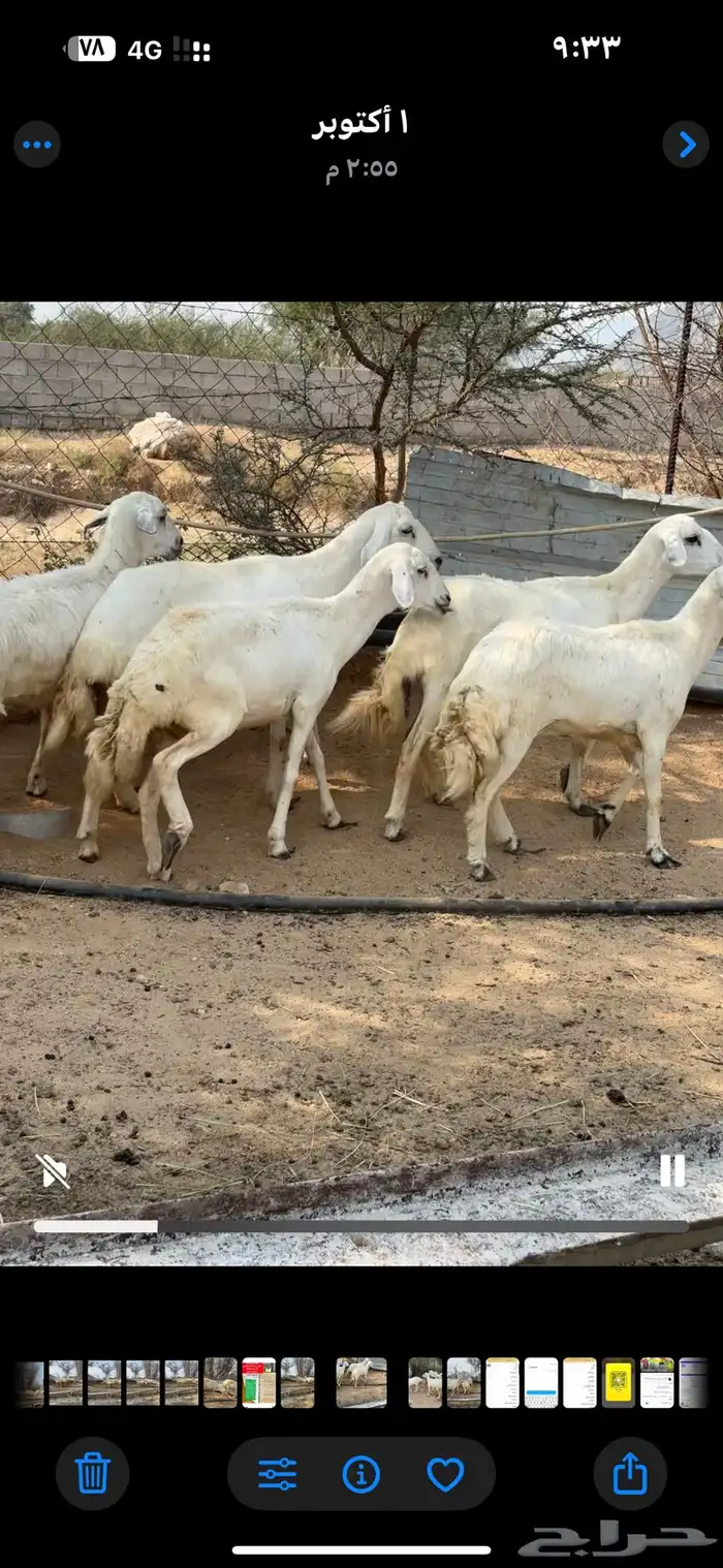 ثلوث المنظر 2