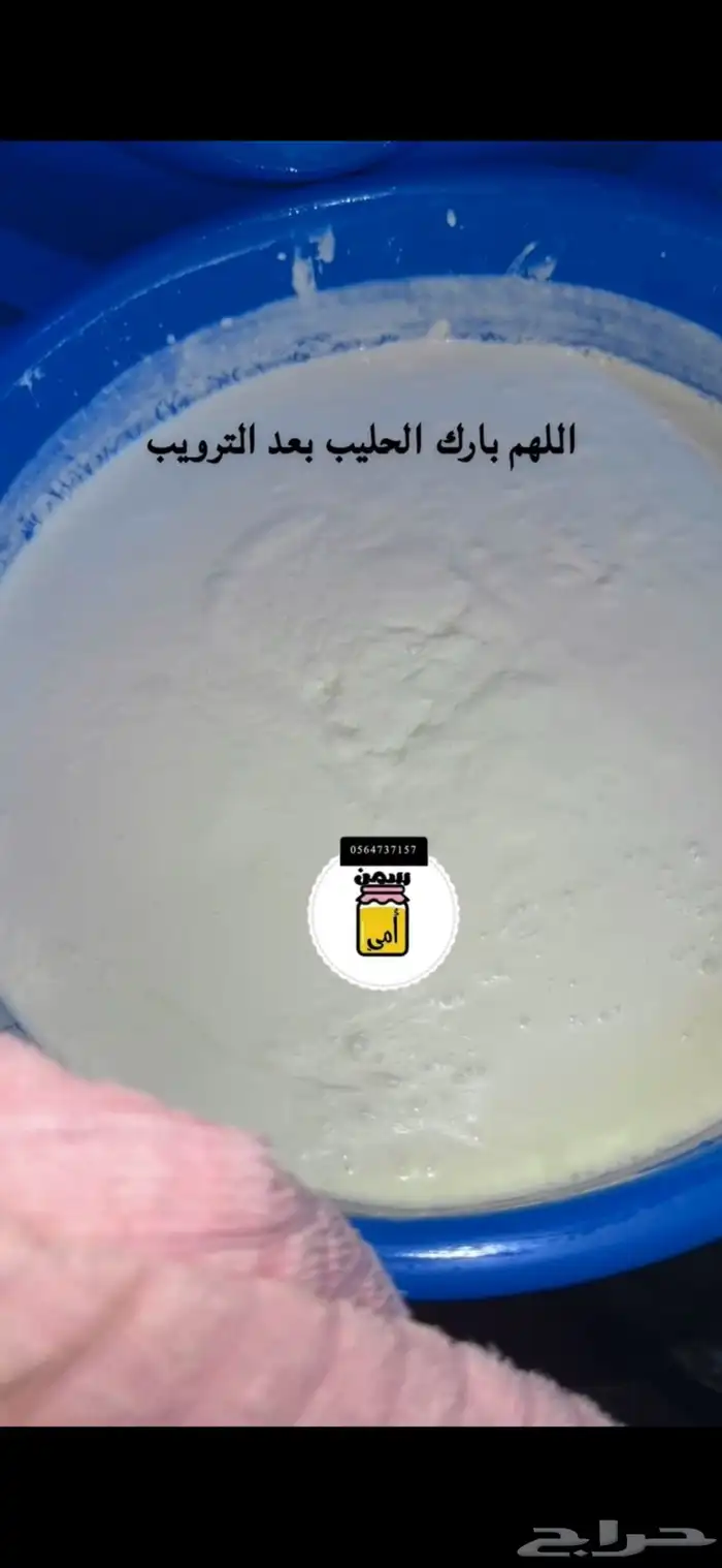 منتجات اغنام وابقار شغل نظيف ومضمون 0