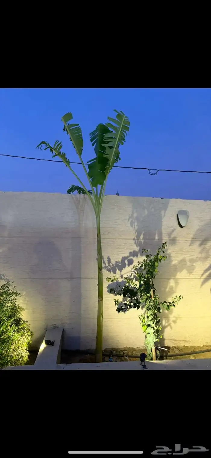 تنسيق حدايق 25