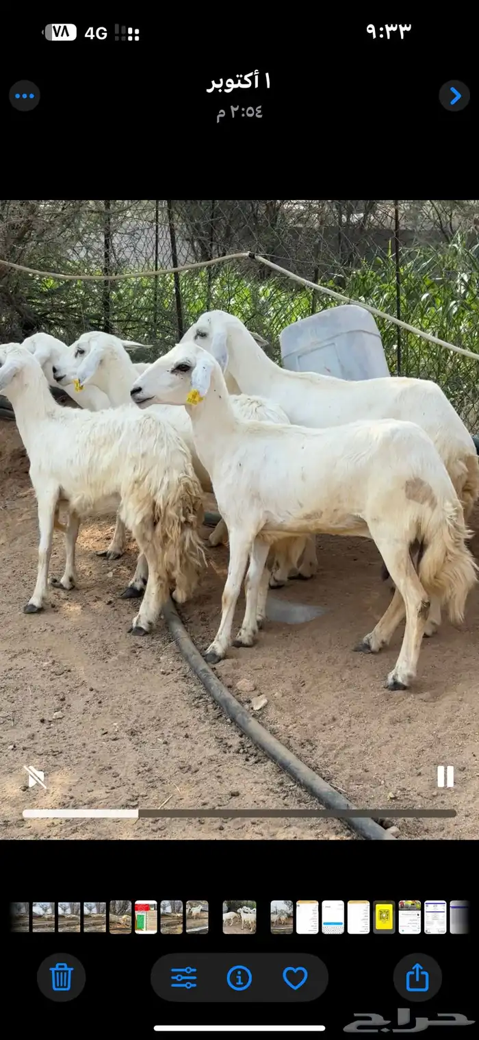 ثلوث المنظر 1