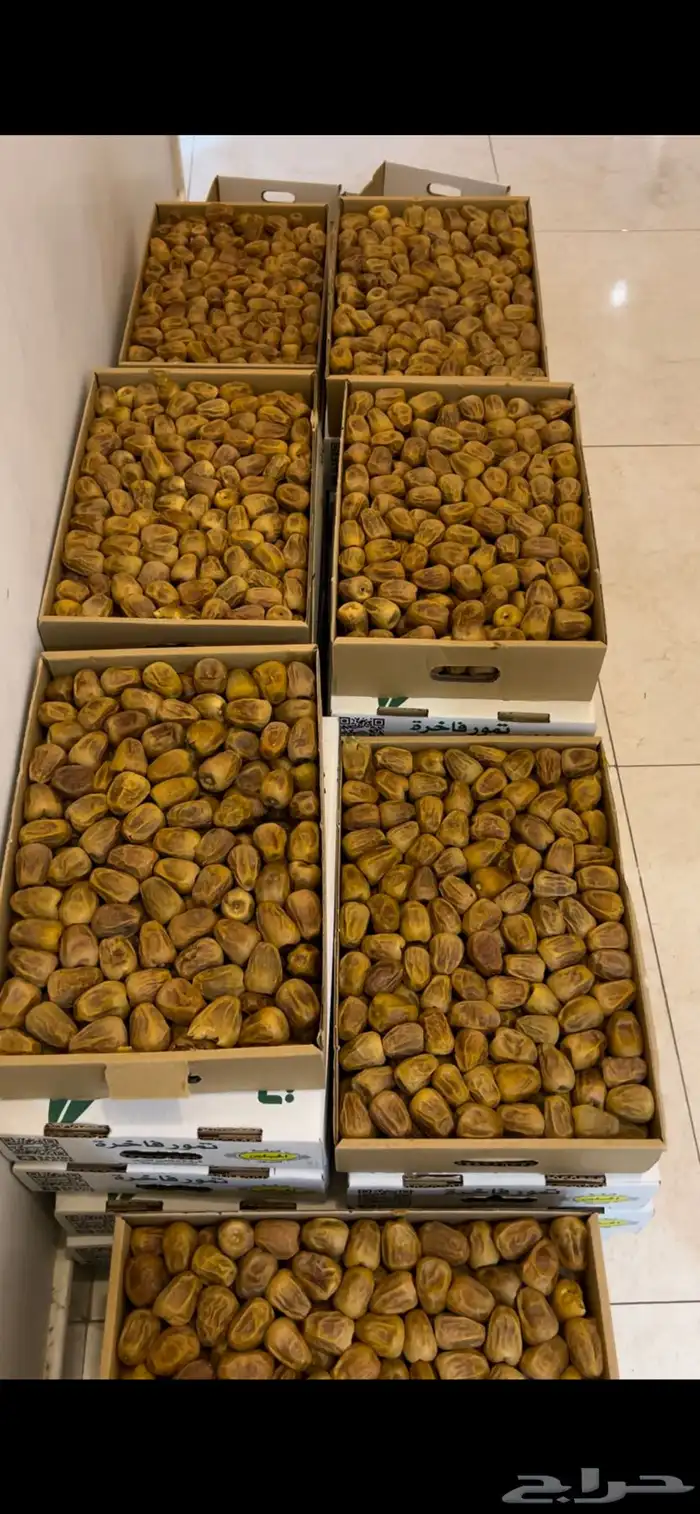 تمر سكري مفتل فاخر 2