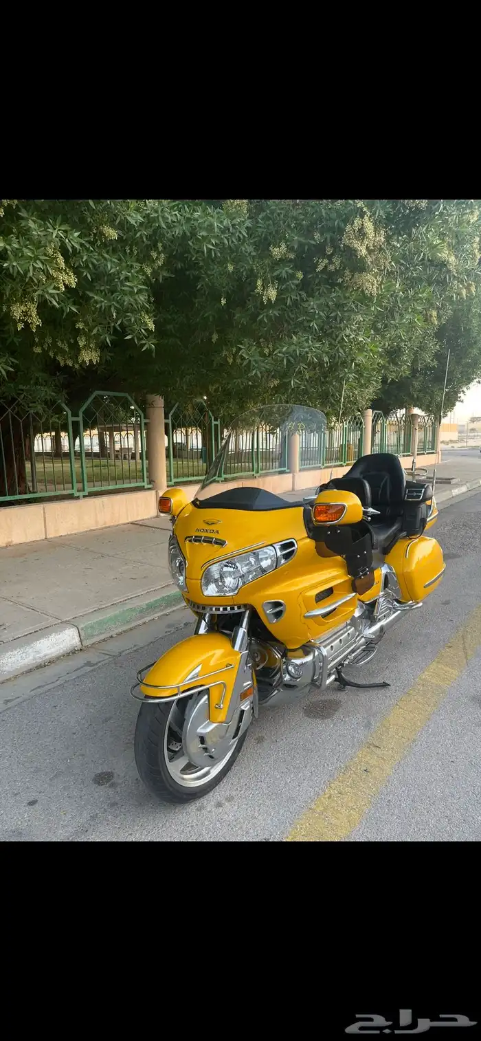 قولد وينق 8