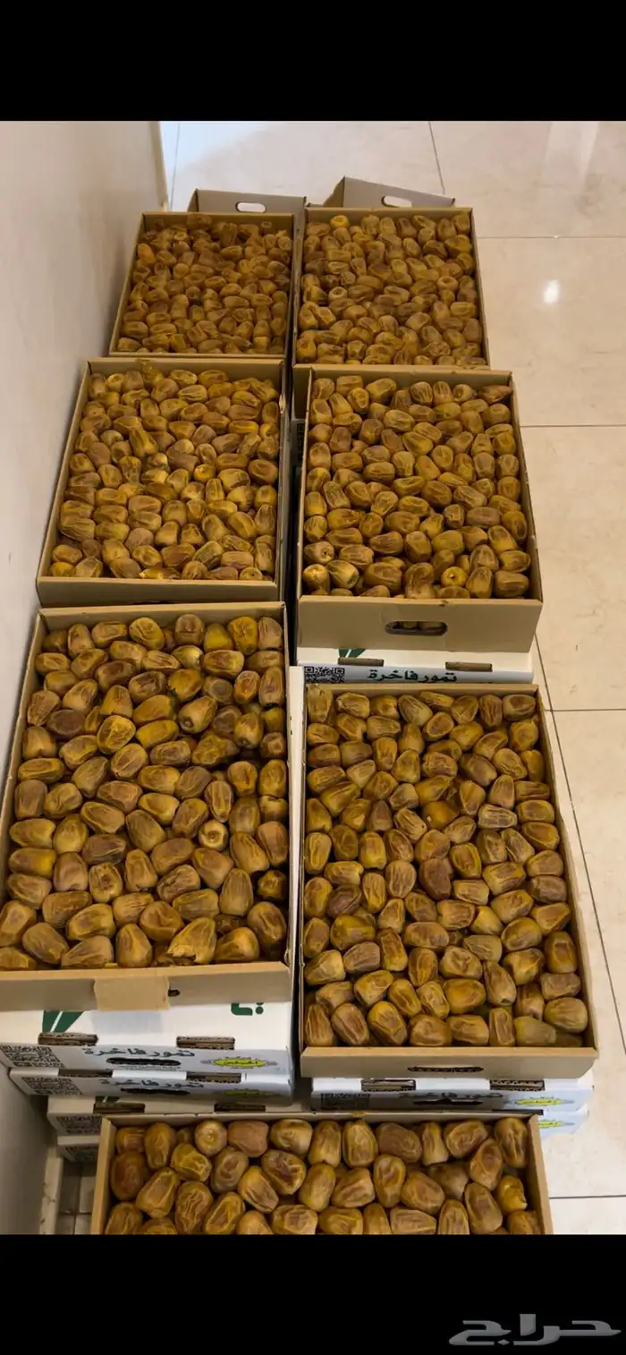 تمر سكري مفتل فاخر 1
