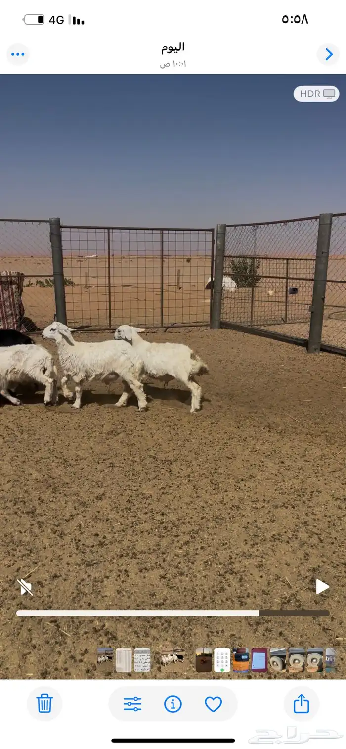 حريات للبيع 1
