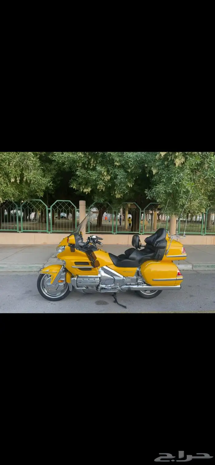 قولد وينق 1