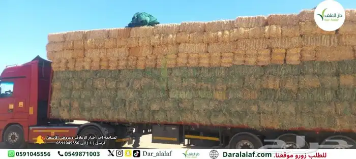 رودس و تبن قمح في شاحنة واحدة 1