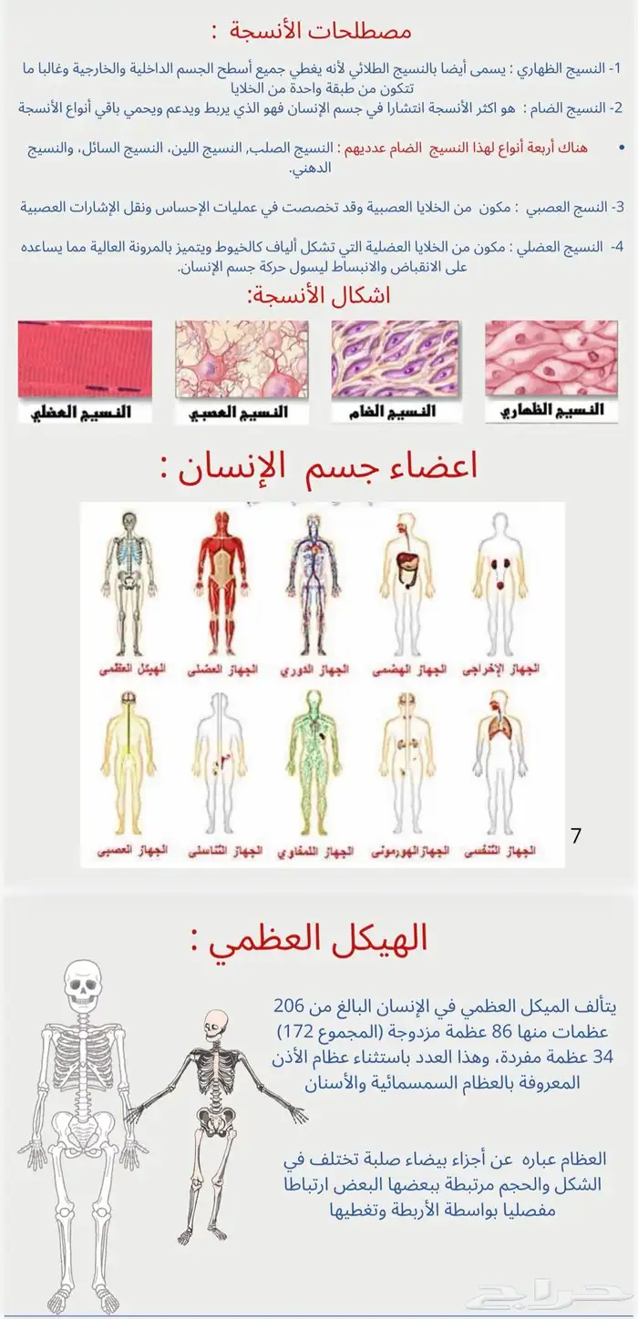 عروض بوربوينت 0