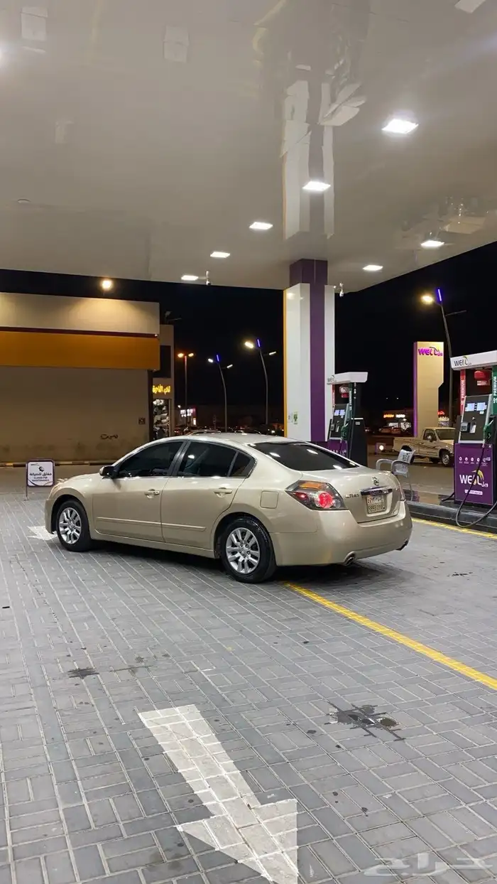 التيما 2010 1