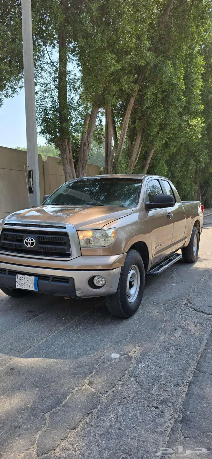 تندرا 2010 6