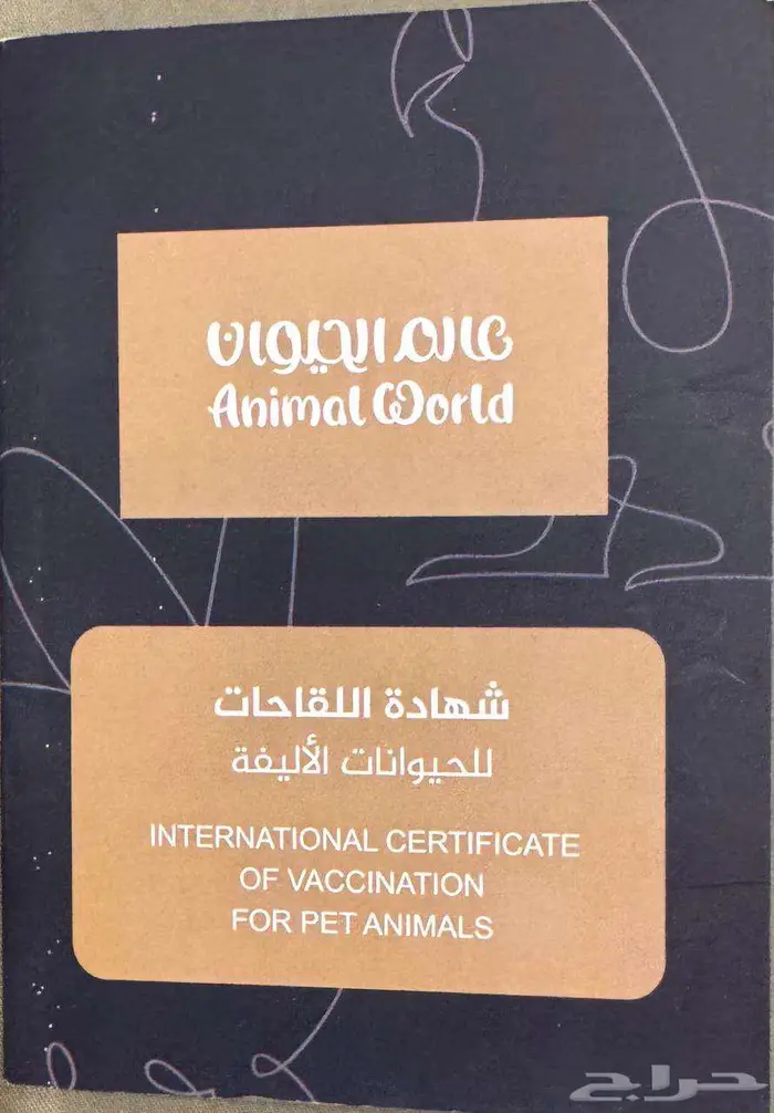 كلب هاسكي مدرب للبيع 2