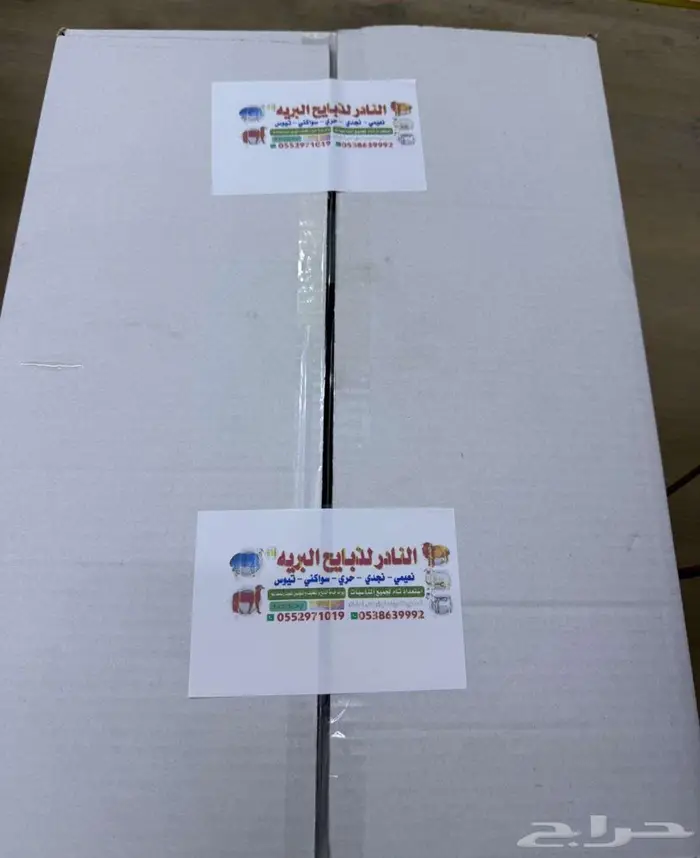ذبايح بلدي تابي تمارا 3