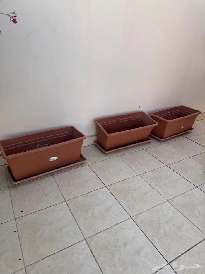 احواض شجر واقواس 0