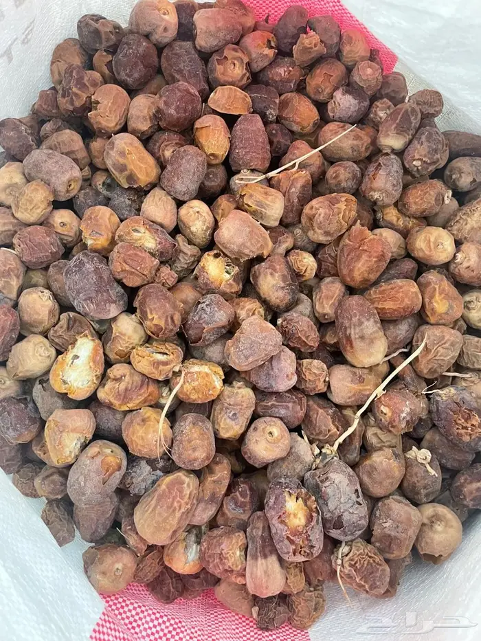 تمر علف للحلال 2