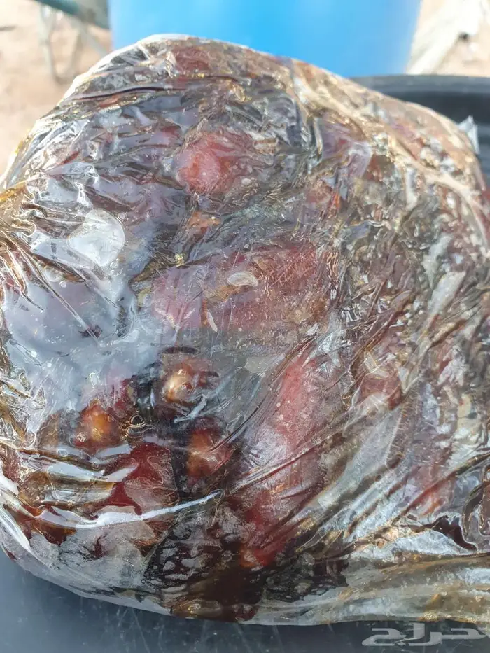 حلوة الجوف شغل نظيف وفاخر 1