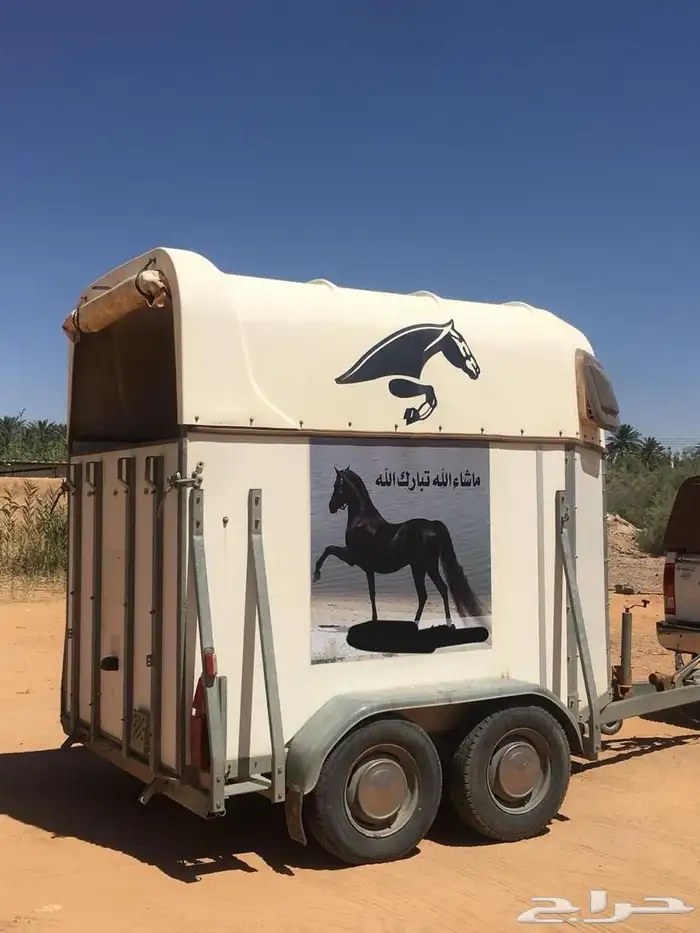 مطلوب نقل خيل من المدينة للدمام 4